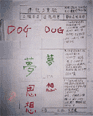 image7.gif (7303 bytes)