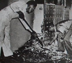 shc3.jpg (17921 bytes)